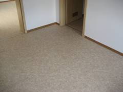 Eiche_3_Schicht_anfang